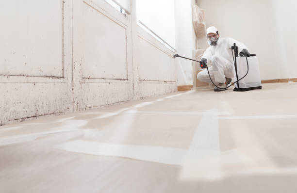 24/7 Emergency Commercial Mold Remediation experts in Windsor, NC